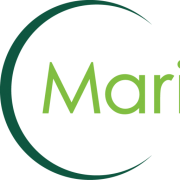 MARIMED INC. [MRMD]  posts $2K loss as revenue rises 8.41% to $33K