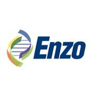 ENZ_logo