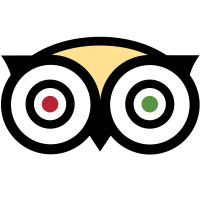 TripAdvisor: Q4 Earnings Snapshot