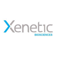 Xenetic Biosciences: Q1 Earnings Snapshot