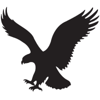 American Eagle: Fiscal Q1 Earnings Snapshot