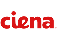 Ciena: Fiscal Q3 Earnings Snapshot