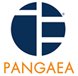 Pangaea Logistics: Q2 Earnings Snapshot